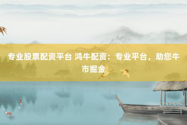 专业股票配资平台 鸿牛配资：专业平台，助您牛市掘金