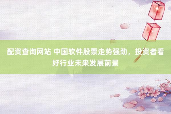 配资查询网站 中国软件股票走势强劲，投资者看好行业未来发展前景