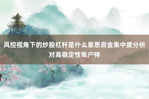 风控视角下的炒股杠杆是什么意思资金集中度分析对高稳定性账户特