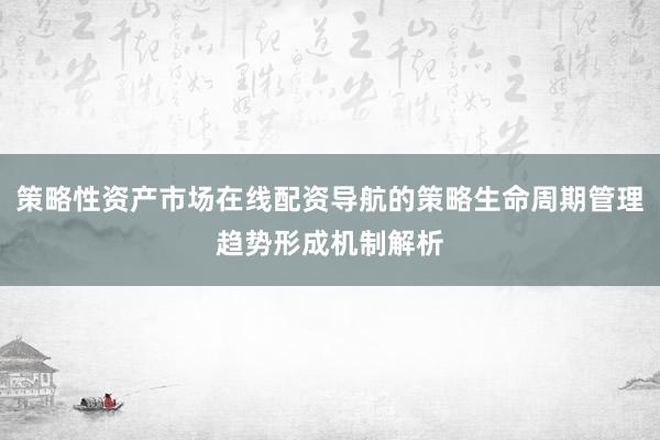 策略性资产市场在线配资导航的策略生命周期管理趋势形成机制解析