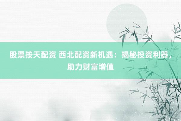 股票按天配资 西北配资新机遇：揭秘投资利器，助力财富增值