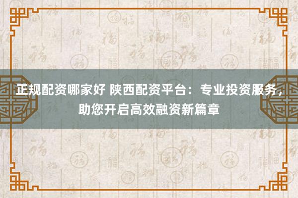 正规配资哪家好 陕西配资平台:专业投资服务,助您开启高效融资新篇章