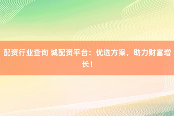 配资行业查询 城配资平台：优选方案，助力财富增长！