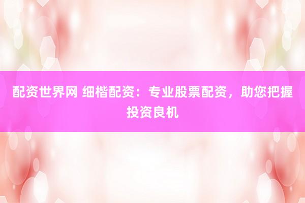 配资世界网 细楷配资：专业股票配资，助您把握投资良机
